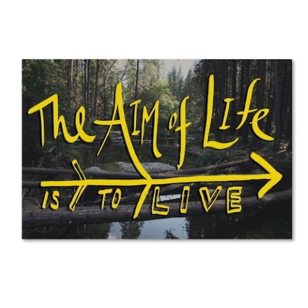 Leah Flores 'Aim Of Life' Canvas Art,12x19